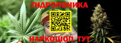 амф Кимры