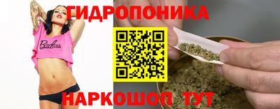амф Кимры